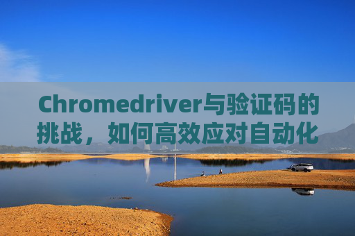Chromedriver与验证码的挑战，如何高效应对自动化测试中的难题