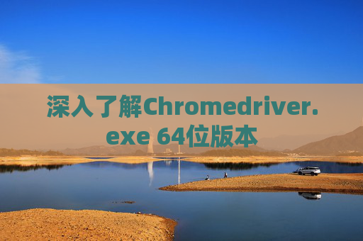 深入了解Chromedriver.exe 64位版本